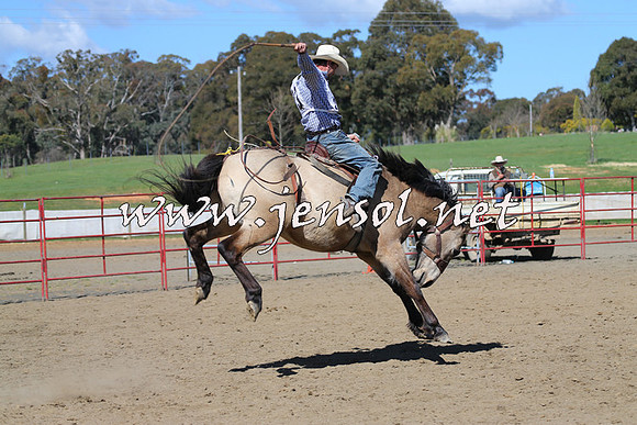 TumbarumbaStockmensChallenge_0586
