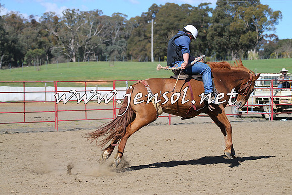 TumbarumbaStockmensChallenge_0701