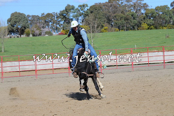 TumbarumbaStockmensChallenge_0680