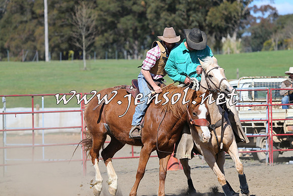 TumbarumbaStockmensChallenge_0759