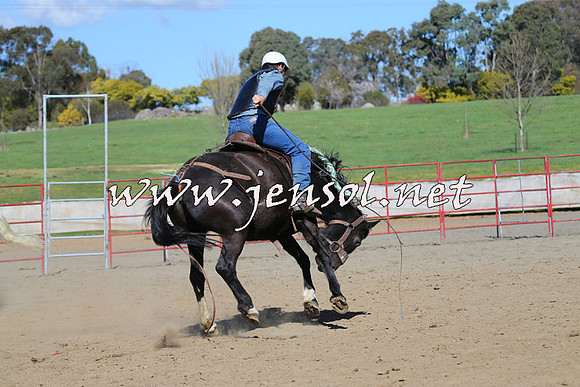 TumbarumbaStockmensChallenge_0678