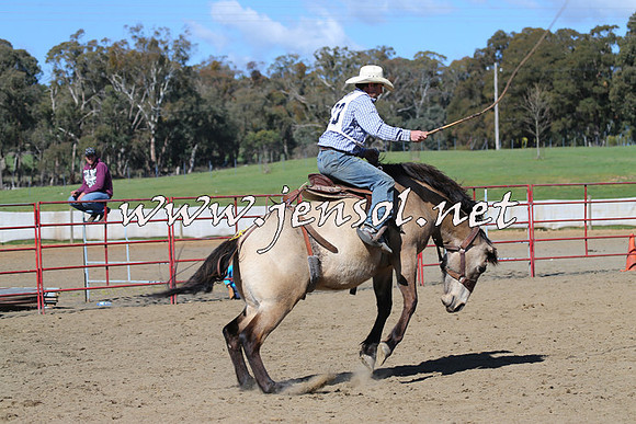 TumbarumbaStockmensChallenge_0585