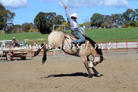 TumbarumbaStockmensChallenge_0581
