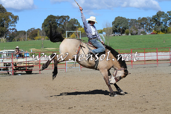 TumbarumbaStockmensChallenge_0581