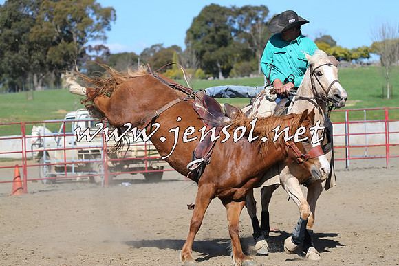 TumbarumbaStockmensChallenge_0771