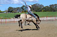 TumbarumbaStockmensChallenge_0594