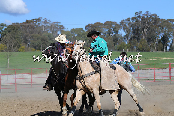 TumbarumbaStockmensChallenge_0640