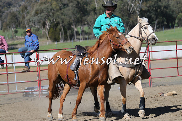 TumbarumbaStockmensChallenge_0723