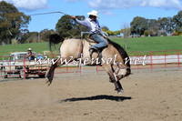 TumbarumbaStockmensChallenge_0578