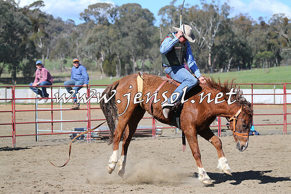 TumbarumbaStockmensChallenge_0615