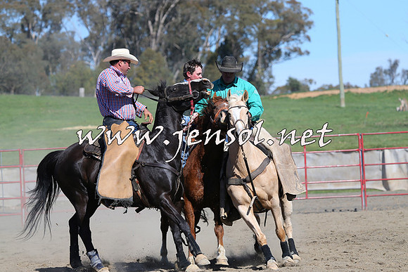 TumbarumbaStockmensChallenge_0637