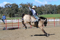 TumbarumbaStockmensChallenge_0583