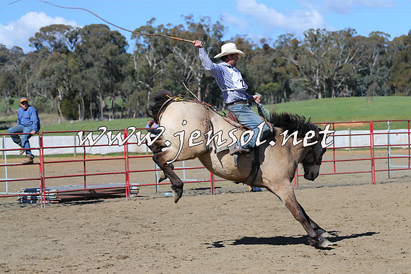 TumbarumbaStockmensChallenge_0583