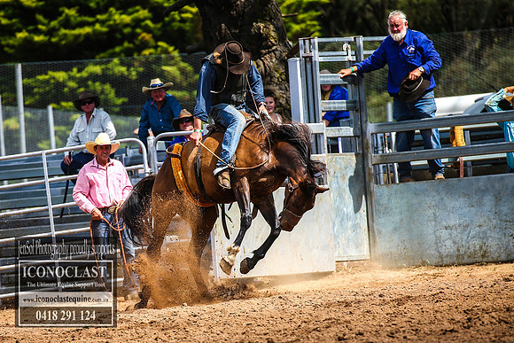 TaralgaRodeo2018_6127