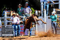 TaralgaRodeo2018_5891