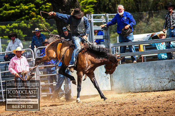 TaralgaRodeo2018_6128
