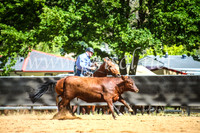 OrangeCampdraft2017_6147