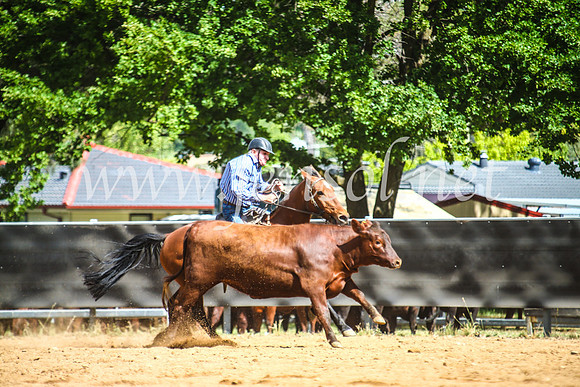 OrangeCampdraft2017_6147