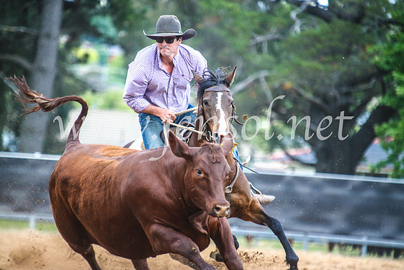 OrangeCampdraft2017_6094