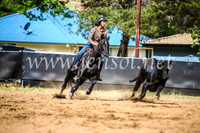 OrangeCampdraft2017_6163