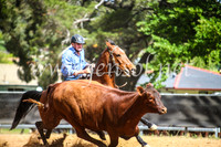 OrangeCampdraft2017_6133