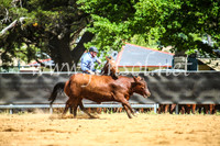 OrangeCampdraft2017_6149