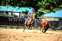 OrangeCampdraft2017_6139