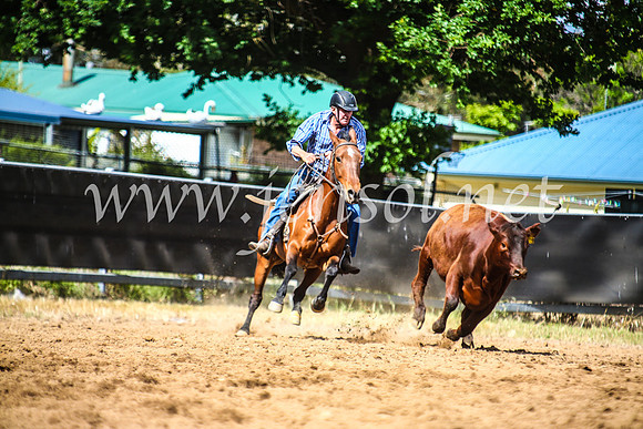 OrangeCampdraft2017_6139