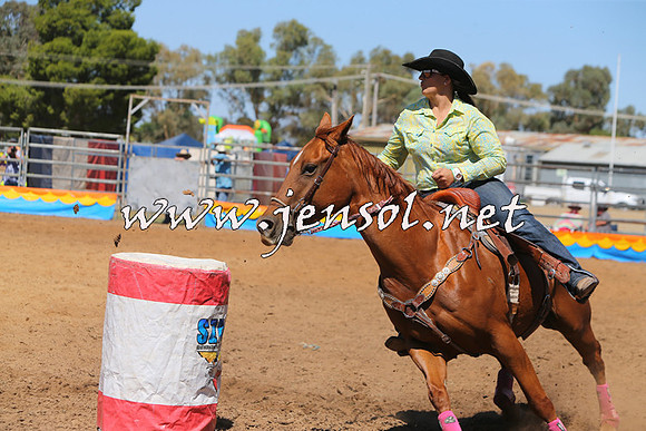 ForbesRodeo2015_0252