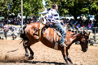 TaralgaRodeoSun2017_1960