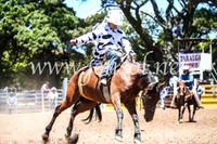 TaralgaRodeoSun2017_1942