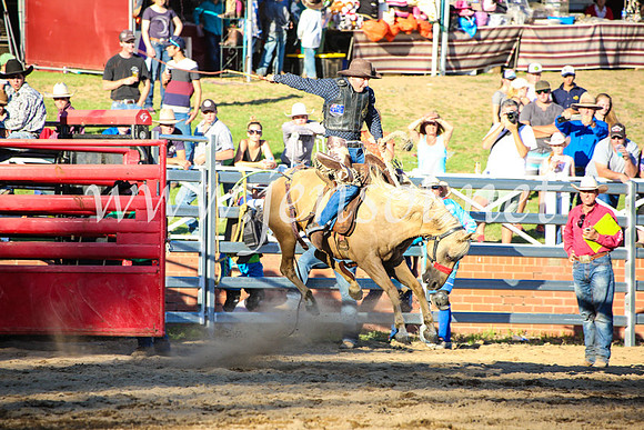 CoomaRodeo2017_5031