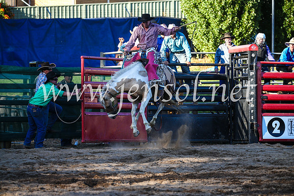 CoomaRodeo2017_3046