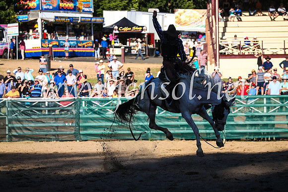 CoomaRodeo2017_2996