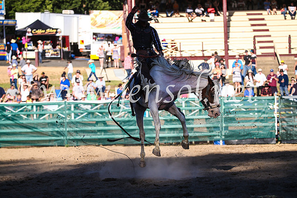 CoomaRodeo2017_3002