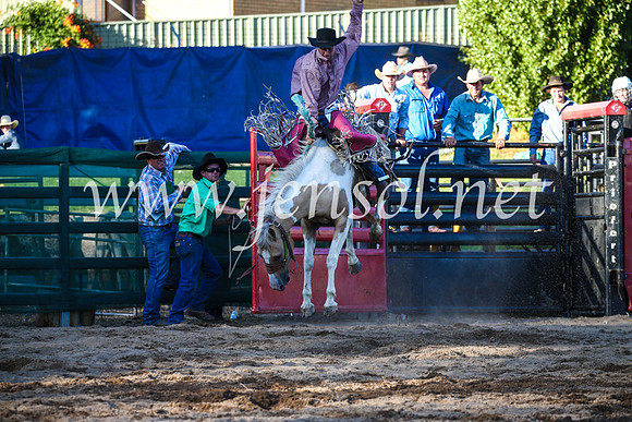 CoomaRodeo2017_3061