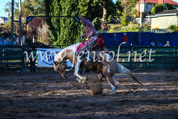CoomaRodeo2017_3115