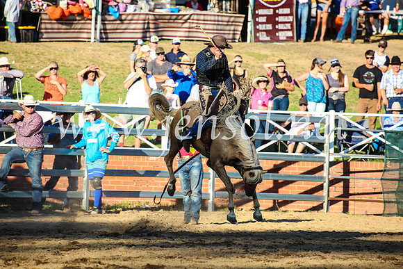 CoomaRodeo2017_5035