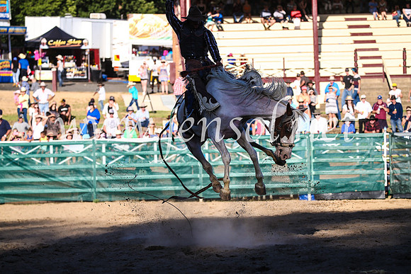 CoomaRodeo2017_3003
