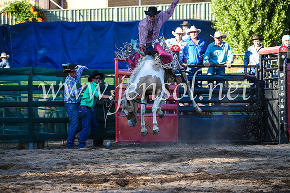 CoomaRodeo2017_3063
