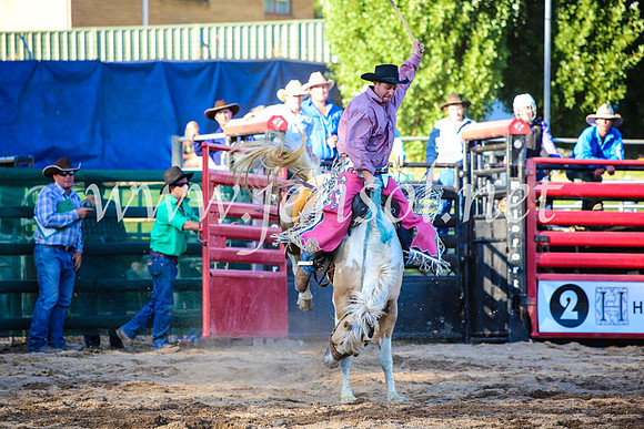 CoomaRodeo2017_5017