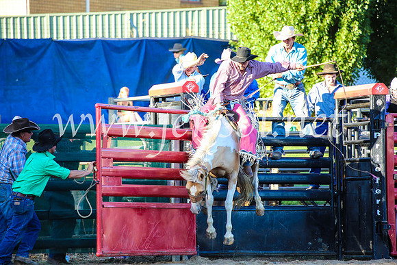 CoomaRodeo2017_5013