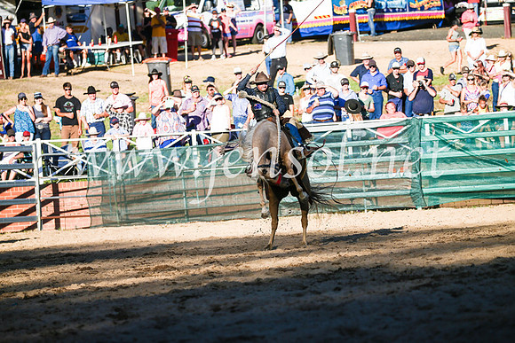 CoomaRodeo2017_3134