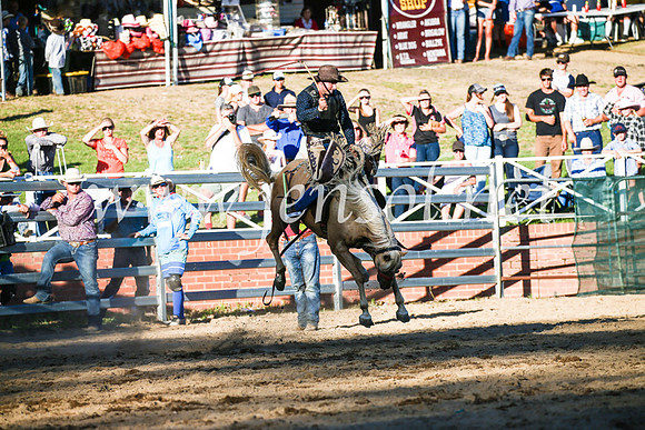CoomaRodeo2017_3120