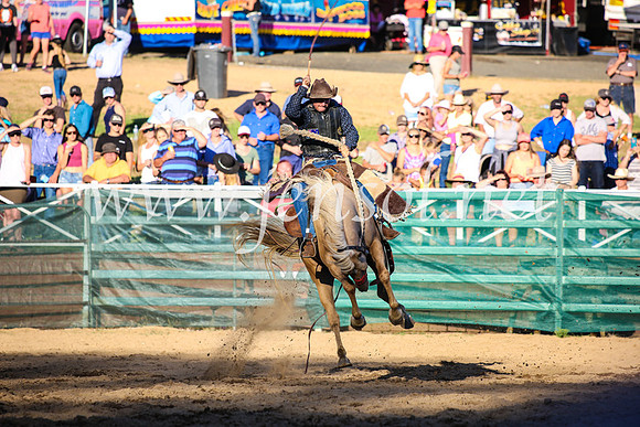 CoomaRodeo2017_5039