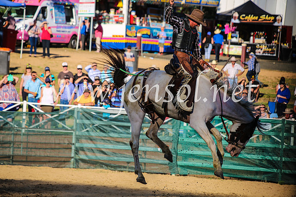 CoomaRodeo2017_5008