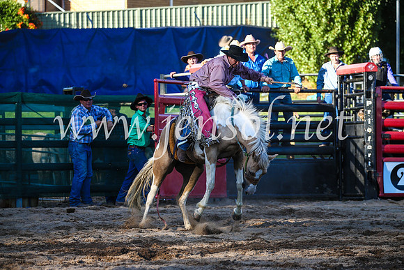 CoomaRodeo2017_3080
