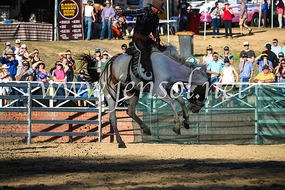 CoomaRodeo2017_2975