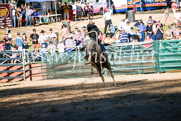 CoomaRodeo2017_3141