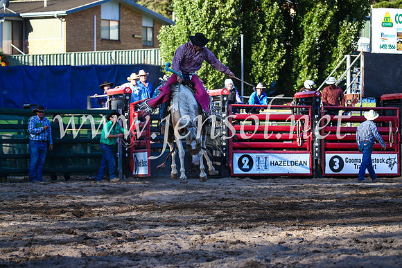 CoomaRodeo2017_3071